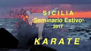 KARATE International Seminary 2017 [upl. by Lunsford172]