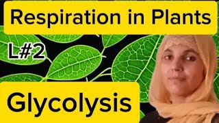 Plant PhysiologyL2Glycolysis Respiration in plantsNEETMDCATall Board Exam [upl. by Sulamith522]