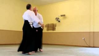 Ki Aikido Techniques [upl. by Merrill981]