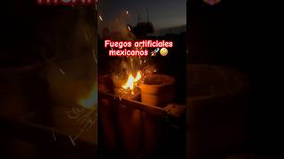 Los mejores fuegos artificiales de México Facebook LapolvoraMx look viralvideo viralshorts [upl. by Oulman]