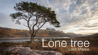 Photographing a lone tree at Loch Maree [upl. by Zeb]