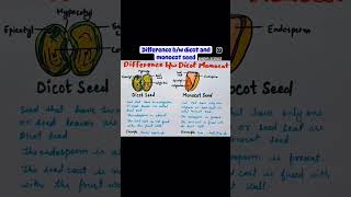 Difference between Dicot and Monocot Stem and Roots l Plant Anatomy🔥🔥 Anatomy of flowering plant [upl. by Kyrstin]