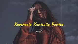 Karineela Kannulla Pennu  Slowed and Reverb  Joseph Movie [upl. by Eesdnyl]