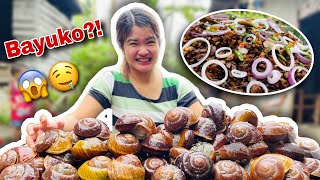 Bayuko  Catch clean amp Cook  Buhay probinsya  KaMangyanVlogs [upl. by Madoc]