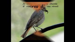 Je vous souhaite des rêvestexte de Jacques Brel citationswmv [upl. by Jean-Claude]