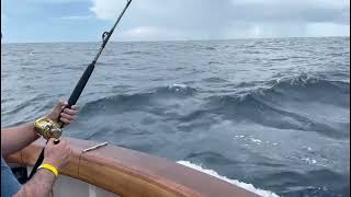 Marlin Magic  44 Sailfish amp 21 Blue Marlin CNSJ Light Tackle Tournament 2024 [upl. by Naujled641]