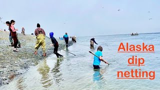 Kasilof Alaska dip netting salmon [upl. by Cirdet]