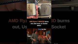 Ryzen 7 9800X3D Burnout User Error or Socket Defect [upl. by Bouldon194]