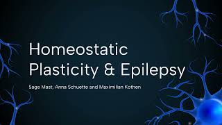 What Role does Homeostatic Plasticity have in Epilepsy  A Computational Approach to EI Balance [upl. by Nylehtak]