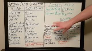 Amino Acid Grouping  Basics for Beginners  Biochemistry Lesson [upl. by Murage]