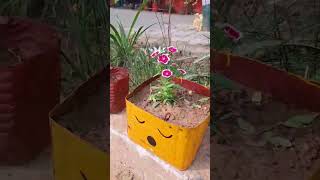 Emoji wale planter by oil tin [upl. by Beckett]