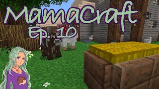 The Finishing Touches MamaCraft Ep 10 [upl. by Odnanreh870]