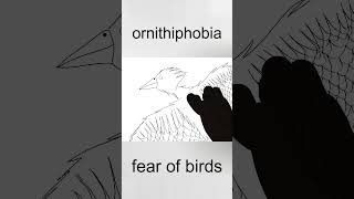 ornithophobia  drawing fears 21 [upl. by Pantin760]