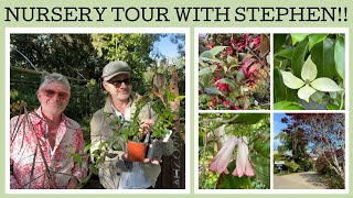 Nursery tour Stephens nursery Dicksonia Rare Plants [upl. by Bradman]