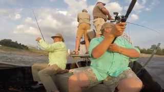 Striper Fishing at Lake Texoma Denison Dam [upl. by Medwin]