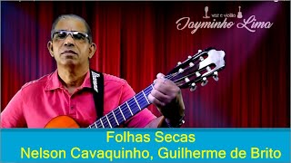 Folhas secas  Nelson Cavaquinho Guilherme de Brito [upl. by Amilah]