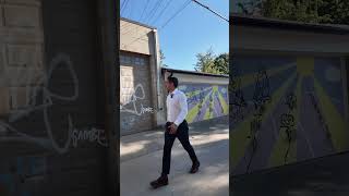 TORONTO LANEWAY SUITES  BEFORE AND AFTER torontorealestate yourhomebuyer [upl. by Handal]