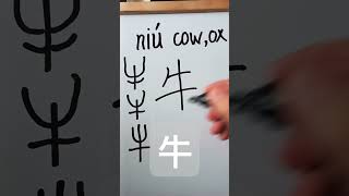 Easy Chinese Writing Chinese farm animals 牛 niú 우 137 [upl. by Nortyad188]