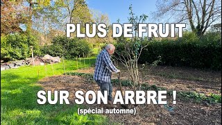 ASTUCE ARBRES FRUITIERS  COMMENT AVOIR une RÉCOLTE de fruit PLUS GÉNÉREUSE 🍎🍐 [upl. by Emearg]