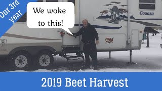 Sugar Beet Harvest 2019Workamper North Dakota Week One [upl. by Cock681]