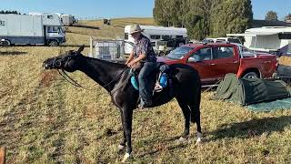 OTAGO GOLDFIELDS CAVALCADE 2023 [upl. by Bolten78]