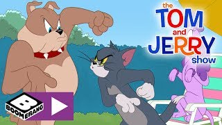 The Tom and Jerry Show  Toms New Girlfriend  Boomerang UK 🇬🇧 [upl. by Yklam]