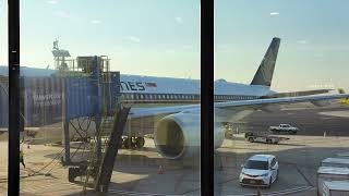 SQ21  Singapore Airlines A350900 ULR  Newark Liberty EWR  Singapore SIN [upl. by Astrahan860]