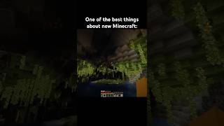 Cave elytra minecraft minecraftshorts minecraftmemes shorts funny memes gaming meme fyp [upl. by Stern]