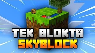 Minecraft tek blok bölüm 2 çiftlik [upl. by Ruprecht]