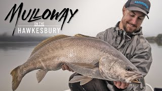 Chasing Metre Mulloway on the Hawkesbury River with Rhys Kennedy [upl. by Saddler477]