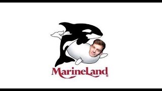 Present day Marineland is WILD [upl. by Doretta]