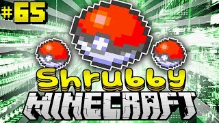 Ausgefallene EXPERIMENTE  Minecraft Shrubby 65 DeutschHD [upl. by Oilut]