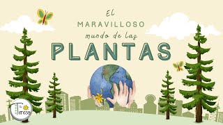 Las plantas 2º primaria [upl. by Norrie203]