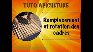 TUTO apiculture remplacement et rotation des cadres [upl. by Alvarez854]