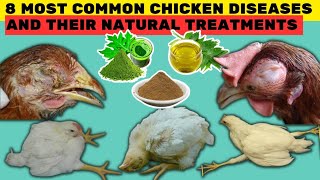 8 MOST COMMON DISEASES OF CHICKEN amp THEIR NATURAL TREATMENTS  100 Recovery by using these TREATS [upl. by Tedie]