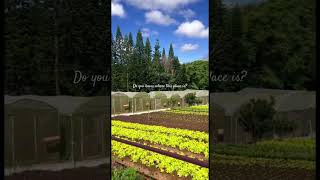 Check out SVD Farm Tagaytay tagaytaytrip tagaytay travel philippines nature farm tagaytaycity [upl. by Anekam]