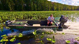 GATOR TAIL TEARING UP SWAMP [upl. by Nattie]