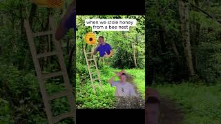 When we stole honey from a beehive funny memes mellstroy￼ [upl. by Roby514]