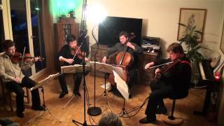 Valentin Berlinsky Quartet Beethoven Op59 no2 Slow Movement [upl. by Nyrmak712]