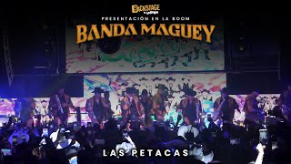 Banda Maguey  Las Petacas desde La Boom🤠 bandamaguey banda live show technobanda [upl. by Legna]