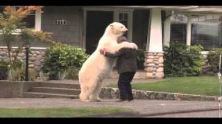 Nissan Leaf Polar Bear Commercial  Behind the Scenes [upl. by Einahets207]