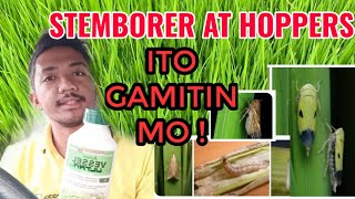 Insecticide para sa Stemborer Mango Hoppers Brown planthopper Green leafhopper  Vessel Ultra [upl. by Heddie]