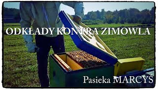 Odkłady pszczele przed zimowlą [upl. by Dana]