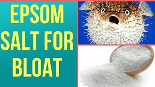 In Hindi  Epsom Salt Treatment For Fish Bloat  The Indian Fishkeeper [upl. by Dielu]