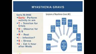 Myasthenia Gravis [upl. by Studley]