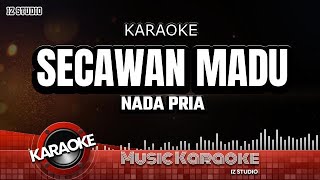 KARAOKE SECAWAN MADU  NADA PRIA [upl. by Nilyram]