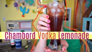 Chambord Vodka Lemonade  Drink 156 [upl. by Elvyn791]