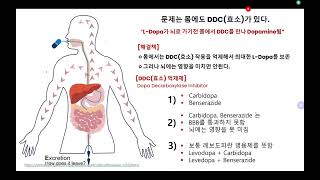 파킨슨까막눈02 도파민이 아닌 레보도파를 먹는 이유 BBB 때문 [upl. by Hapte752]