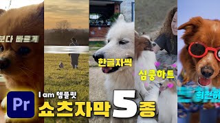 2023 프리미어 프로 영상편집 쇼츠용 자막 템플릿 5종 2019버전 이상 [upl. by Janis]