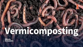 Vermicomposting Webinar [upl. by Nynahs312]